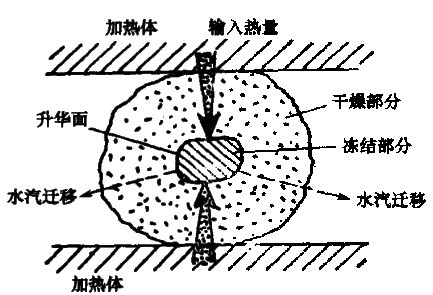 直線振動篩發貨現場